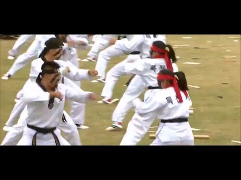 ტაეკვონდოს სადემონსტრაციო გამოსვლა - Taekwondo Demonstration